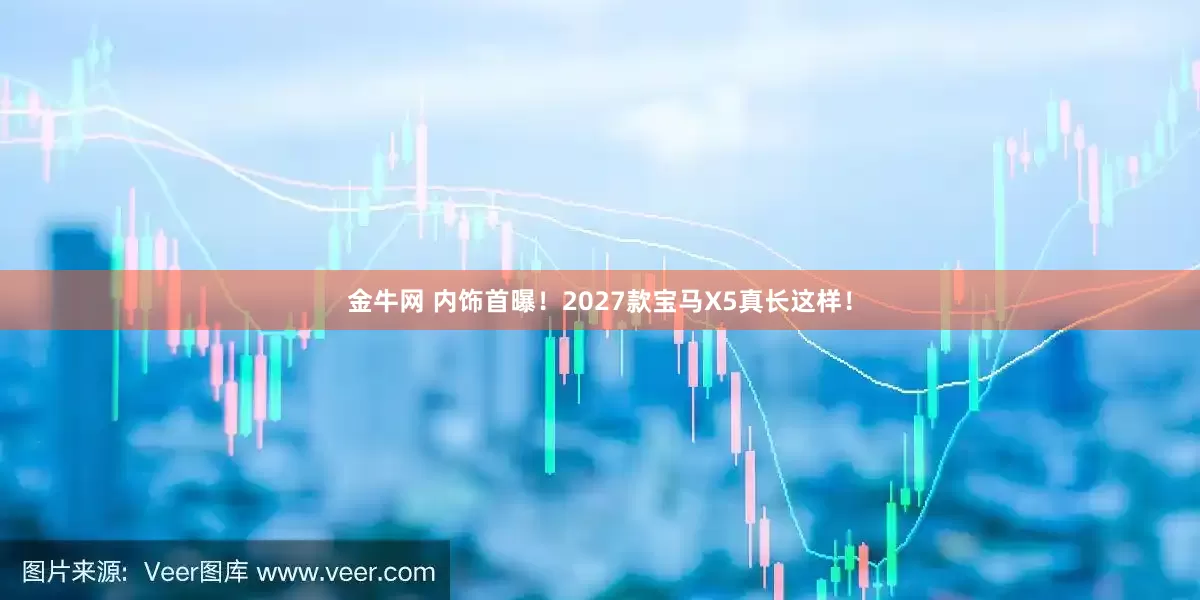 金牛网 内饰首曝！2027款宝马X5真长这样！