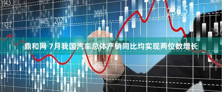 鼎和网 7月我国汽车总体产销同比均实现两位数增长