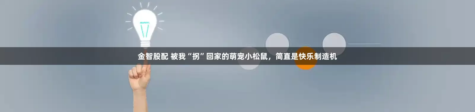 金智股配 被我“拐”回家的萌宠小松鼠，简直是快乐制造机